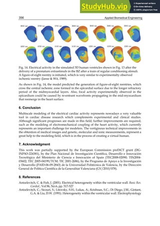 Applied Biomedical Engineering
356
Fig. 14. Electrical activity in the simulated 3D human ventricles shown in Fig. 13 after the
delivery of a premature extrastimuls in the BZ after a train of regular conditioning stimuli.
A figure-of-eight reentry is initiated, which is very similar to experimentalty observed
ischemic reentry (Janse  Wit, 1989).
As shown in Fig. 14, the model predicted the generation of figure-of-eight reentries, which
cross the central ischemic zone formed in the epicardial surface due to the longer refractory
period of the midmyocardial layers. Also, focal activity experimentally observed in the
epicardium could be caused by re-entrant wavefronts propagating in the mid-myocardium
that reemerge in the heart surface.
6. Conclusion
Multiscale modeling of the electrical cardiac activity represents nowadays a very valuable
tool in cardiac disease research which complements experimental and clinical studies.
Although significant progresses are made in this field, further improvements are required,
such as the modeling of electromechanical coupling of the heart activity, which currently
represents an important challenge for modelers. The vertiginous technical improvements in
the obtention of medical images and genetic, molecular and ionic measurements, represent a
great help to the modeling field, which is in the process of creating a virtual human.
7. Acknowledgment
This work was partially supported by the European Commission preDiCT grant (DG-
INFSO-224381), by the Plan Nacional de Investigación Científica, Desarrollo e Innovación
Tecnológica del Ministerio de Ciencia e Innovación of Spain (TEC2008-02090; TIN2004-
03602; TEC 2005-04199/TCM; TIC 2001-2686), by the Programa de Apoyo a la Investigación
y Desarrollo (PAID-06-09-2843) de la Universidad Politécnica de Valencia, by the Dirección
General de Política Científica de la Generalitat Valenciana (GV/2010/078).
8. References
Antzelevitch, C.  Fish, J. (2001). Electrical heterogeneity within the ventricular wall. Basic Res.
Cardiol., Vol.96, No.6, pp. 517-527
Antzelevitch, C.; Sicouri, S.; Litovsky, S.H.; Lukas, A.; Krishnan, S.C.; Di Diego, J.M.; Gintant,
G.A.  Liu, D.W. (1991). Heterogeneity within the ventricular wall. Electrophysiology
 
