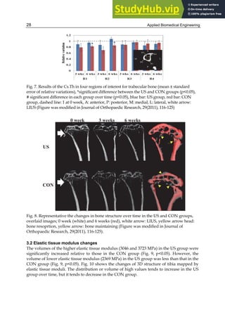 Applied Biomedical Engineering
28
Fig. 7. Results of the Cs.Th in four regions of interest for trabecular bone (mean ± standard
error of relative variations), *significant difference between the US and CON groups (p<0.05),
# significant difference in each group over time (p<0.05), blue bar: US group, red bar: CON
group, dashed line: 1 at 0 week, A: anterior, P: posterior, M: medial, L: lateral, white arrow:
LIUS (Figure was modified in Journal of Orthopaedic Research, 29(2011), 116-125)
Fig. 8. Representative the changes in bone structure over time in the US and CON groups,
overlaid images; 0 week (white) and 6 weeks (red), white arrow: LIUS, yellow arrow head:
bone resoprtion, yellow arrow: bone maintaining (Figure was modified in Journal of
Orthopaedic Research, 29(2011), 116-125).
3.2 Elastic tissue modulus changes
The volumes of the higher elastic tissue modulus (3046 and 3723 MPa) in the US group were
significantly increased relative to those in the CON group (Fig. 9, p<0.05). However, the
volume of lower elastic tissue modulus (2369 MPa) in the US group was less than that in the
CON group (Fig. 9, p<0.05). Fig. 10 shows the changes of 3D structure of tibia mapped by
elastic tissue moduli. The distribution or volume of high values tends to increase in the US
group over time, but it tends to decrease in the CON group.
 