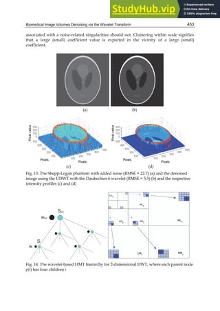 APPLIED BIOMEDICAL ENGINEERING.pdf