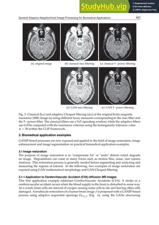 APPLIED BIOMEDICAL ENGINEERING.pdf