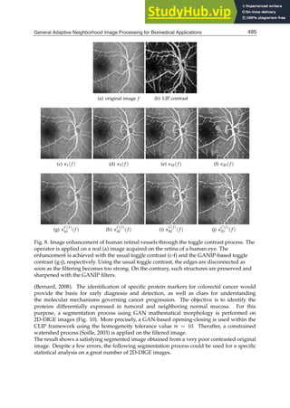 APPLIED BIOMEDICAL ENGINEERING.pdf