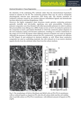 Electrical Stimulation in Tissue Regeneration 49
the chemistry of the underlying PPy substrate rather than the electrochemical byproducts
formed in solution by the ES. The conducting polymer films may be used to manipulate
physiologically relevant ionic interactions with living cells. The chromic transition of
conductive polymer caused by the reaction between immobilized ligands and biomolecules
has been observed in real time (Englebienne, 1999).
However, the highly conjugative chain structures render genuine conducting polymers
generally insoluble and non-fusible, signifying very poor processibility. Conductive
polymer composites were thus blended with other processable polymers in order to address
this processability issue (Meng et al., 2008). It takes as low as 5wt% of conductive polymer in
the composite to reach a percolation threshold at which the conductive phase disperses in
the non-conductive matrix and becomes continuous, resulting in a surface conductivity in
the range of 0.3-5.3×103 Ω/square when different amount of heparin was used as dopants.
Although the presence of heparin reduced the PPy conductivity, it promoted cell adhesion
to PPy (Figure 2) and enhanced its electrical stability as well. When these conductive
composites are used as scaffolding materials, the cells cultured on it can receive electrical
signals directly from the substrate rather than from the culture medium.
Fig. 2. The morphology of HaCat, fibroblasts and MG63 cells on PPy/PLLA membranes
with or without heparin as dopant to PPy after 4h cell culture (left); and the cell viability
after 4 and 24h culture on PPy/PLLA membranes with different amount of heparin in PPy
(right).
 