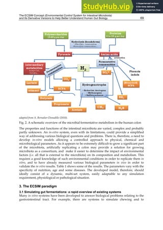 The ECSIM Concept (Environmental Control System for Intestinal Microbiota)
and Its Derivative Versions to Help Better Understand Human Gut Biology 69
adapted from A. Bernalier-Donadille (2010).
Fig. 2. A schematic overview of the microbial fermentative metabolism in the human colon
The properties and functions of the intestinal microbiota are varied, complex and probably
partly unknown. An in-vitro system, even with its limitations, could provide a simplified
way of addressing various biological questions and problems. There is, therefore, a need to
develop in-vitro models allowing a controlled approach to physical, chemical and
microbiological parameters. As it appears to be extremely difficult to grow a significant part
of the microbiota, artificially replicating a colon may provide a solution for growing
microbiota as a consortium, and make it easier to determine the impact of environmental
factors (i.e. all that is external to the microbiota) on its composition and metabolism. This
requires a good knowledge of such environmental conditions in order to replicate them in
vitro, and to have already measured various biological parameters in vivo in order to
validate the in vitro results. Table 1 shows some of the results. The parameters vary with the
specificity of nutrition, age and some diseases. The developed model, therefore, should
ideally consist of a dynamic, multi-set system, easily adaptable to any simulation
requirement, physiological or pathological situation.
3. The ECSIM paradigm
3.1 Simulating gut fermentations: a rapid overview of existing systems
Many in vitro systems have been developed to answer biological problems relating to the
gastrointestinal tract. For example, there are systems to simulate chewing and to
 