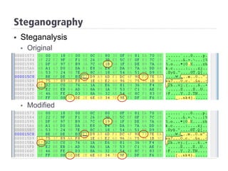 Steganography
§  Steganalysis
§  Original
§  Modified
 