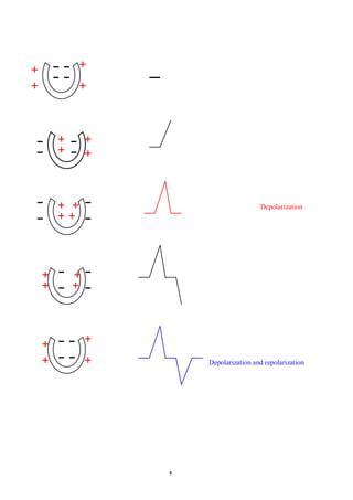 Depolarization




    Depolarization and repolarization




2
 