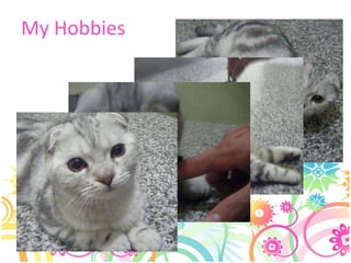 My Hobbies 