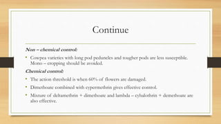Continue
Non – chemical control:
• Cowpea varieties with long pod peduncles and tougher pods are less susceptible.
Mono – cropping should be avoided.
Chemical control:
• The action threshold is when 60% of flowers are damaged.
• Dimethoate combined with cypermethrin gives effective control.
• Mixture of deltamethrin + dimethoate and lambda – cyhalothrin + demethoate are
also effective.
 