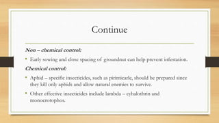 Continue
Non – chemical control:
• Early sowing and close spacing of groundnut can help prevent infestation.
Chemical control:
• Aphid – specific insecticides, such as pirimicarle, should be prepared since
they kill only aphids and allow natural enemies to survive.
• Other effective insecticides include lambda – cyhalothrin and
monocrotophos.
 