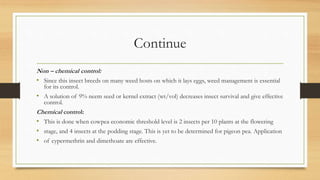 Continue
Non – chemical control:
• Since this insect breeds on many weed hosts on which it lays eggs, weed management is essential
for its control.
• A solution of 9% neem seed or kernel extract (wt/vol) decreases insect survival and give effective
control.
Chemical control:
• This is done when cowpea economic threshold level is 2 insects per 10 plants at the flowering
• stage, and 4 insects at the podding stage. This is yet to be determined for pigeon pea. Application
• of cypermethrin and dimethoate are effective.
 