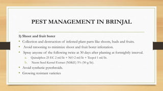 PEST MANAGEMENT IN BRINJAL
1) Shoot and fruit borer
• Collection and destruction of infested plant parts like shoots, buds and fruits.
• Avoid ratooning to minimize shoot and fruit borer infestation.
• Spray anyone of the following twice at 30 days after planting at fortnightly interval.
a. Quinalphos 25 EC 2 ml/lit + NO 2 ml/lit + Teepol 1 ml/lit.
b. Neem Seed Kernel Extract (NSKE) 5% (50 g/lit).
• Avoid synthetic pyrethroids.
• Growing resistant varieties
 