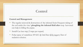Control
Control and Management
• The regular removal & destruction of the infested fruits Frequent raking of
the soil under the vine/ ploughing the infested field after crop harvested
can help in killing the pupae.
• Install Cue lure trap (3 traps per ropani)
• Foliar spray of malathion 50%EC @ 2ml/liter @2g jaggery/liter of
malation solution.
 