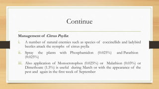 Continue
Management of Citrus Psylla:
i. A number of natural enemies such as species of coccinellids and ladybird
beetles attack the nymphs of citrus psylla
ii. Spray the plants with Phosphamidon (0.025%) and Parathion
(0.025%)
iii. Also application of Monocrotophos (0.025%) or Malathion (0.03%) or
Dimethoate (1.5%) is useful during March or with the appearance of the
pest and again in the first week of September
 