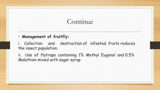 Continue
• Management of fruitfly:
i. Collection and destruction of infested fruits reduces
the insect population.
ii. Use of flytraps containing 1% Methyl Eugenol and 0.5%
Malathion mixed with sugar syrup
 