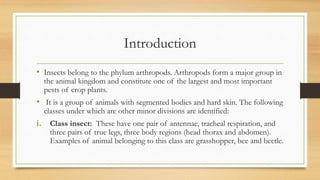 Introduction
• Insects belong to the phylum arthropods. Arthropods form a major group in
the animal kingdom and constitute one of the largest and most important
pests of crop plants.
• It is a group of animals with segmented bodies and hard skin. The following
classes under which are other minor divisions are identified:
i. Class insect: These have one pair of antennae, tracheal respiration, and
three pairs of true legs, three body regions (head thorax and abdomen).
Examples of animal belonging to this class are grasshopper, bee and beetle.
 
