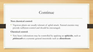 Continue
Non chemical control:
• Vigorous plants are usually tolerant of aphid attack. Natural enemies may
provide sufficient control and should be encouraged.
Chemical control:
• Very heavy infestations may be controlled by applying an aphicide, such as
pirimcarb or a systemic general insecticide such as dimethoate.
 
