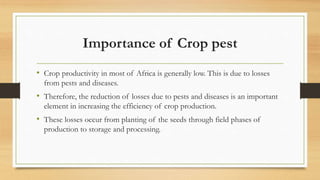 Importance of Crop pest
• Crop productivity in most of Africa is generally low. This is due to losses
from pests and diseases.
• Therefore, the reduction of losses due to pests and diseases is an important
element in increasing the efficiency of crop production.
• These losses occur from planting of the seeds through field phases of
production to storage and processing.
 