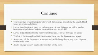 Continue
• The forewings of adult are pale yellow with dark orange lines along the length. Hind
wings are white and shinny.
• Larvae have black oval spots on each segment. About 200 eggs are laid in batches
between the leaf sheath and the stem and hatch in 9 – 12 days.
• Larvae bore directly into the stem where they feed. They do not feed on leaves.
• The life cycle is completed in 2 months and there may be 3 generations a year.
• At the start of the dry season, some second or third stage larvae may enter diapause
within millet stem.
• Adults emerge about 4 weeks after the start of the rains.
 