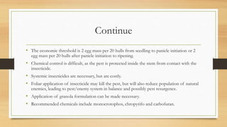 Continue
• The economic threshold is 2 egg mass per 20 hulls from seedling to panicle initiation or 2
egg mass per 20 hulls after panicle initiation to ripening.
• Chemical control is difficult, as the pest is protected inside the stem from contact with the
insecticide.
• Systemic insecticides are necessary, but are costly.
• Foliar application of insecticide may kill the pest, but will also reduce population of natural
enemies, leading to pest/enemy system in balance and possibly pest resurgence.
• Application of granola formulation can be made necessary.
• Recommended chemicals include monocrotophos, chropyrifo and carbofuran.
 