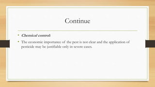Continue
• Chemical control:
• The economic importance of the pest is not clear and the application of
pesticide may be justifiable only in severe cases.
 