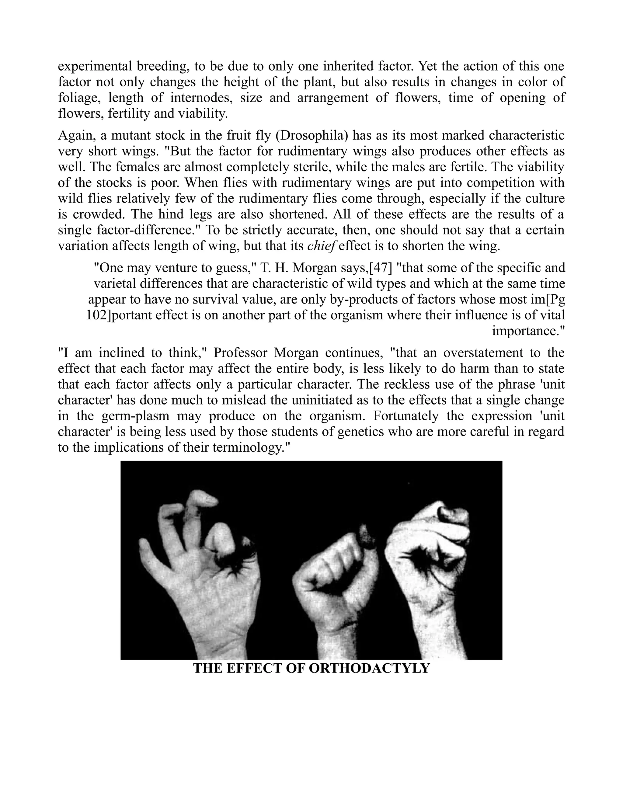 experimental breeding, to be due to only one inherited factor. Yet the action of this one
factor not only changes the height of the plant, but also results in changes in color of
foliage, length of internodes, size and arrangement of flowers, time of opening of
flowers, fertility and viability.
Again, a mutant stock in the fruit fly (Drosophila) has as its most marked characteristic
very short wings. "But the factor for rudimentary wings also produces other effects as
well. The females are almost completely sterile, while the males are fertile. The viability
of the stocks is poor. When flies with rudimentary wings are put into competition with
wild flies relatively few of the rudimentary flies come through, especially if the culture
is crowded. The hind legs are also shortened. All of these effects are the results of a
single factor-difference." To be strictly accurate, then, one should not say that a certain
variation affects length of wing, but that its chief effect is to shorten the wing.
"One may venture to guess," T. H. Morgan says,[47] "that some of the specific and
varietal differences that are characteristic of wild types and which at the same time
appear to have no survival value, are only by-products of factors whose most im[Pg
102]portant effect is on another part of the organism where their influence is of vital
importance."
"I am inclined to think," Professor Morgan continues, "that an overstatement to the
effect that each factor may affect the entire body, is less likely to do harm than to state
that each factor affects only a particular character. The reckless use of the phrase 'unit
character' has done much to mislead the uninitiated as to the effects that a single change
in the germ-plasm may produce on the organism. Fortunately the expression 'unit
character' is being less used by those students of genetics who are more careful in regard
to the implications of their terminology."
THE EFFECT OF ORTHODACTYLY
 