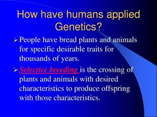 Applied Genetics Biology genetics Introduction | PPTX