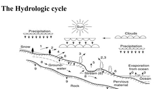 The Hydrologic cycle
 