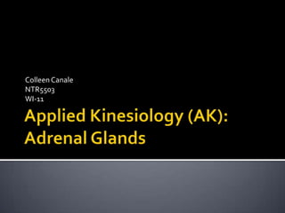 Applied Kinesiology (AK): Adrenal Glands Colleen Canale NTR5503 WI-11 