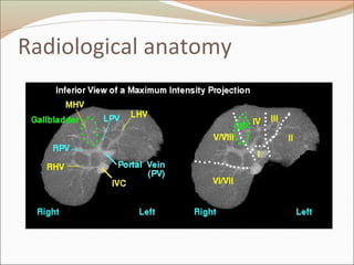 Radiological anatomy
 