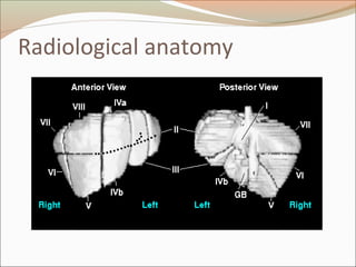 Radiological anatomy
 