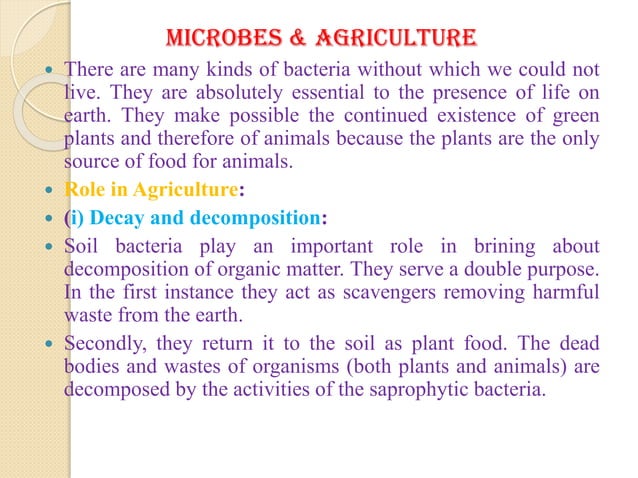 Microbes in Agriculture and health with special reference to bacteria ...