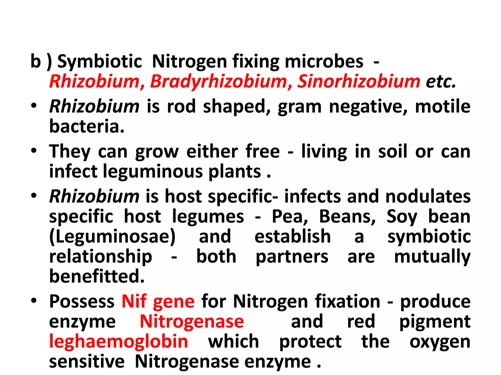 Applied Microbiology - Role of microbes in Nitrogen cycle ...