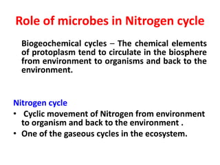 Applied Microbiology - Role of microbes in Nitrogen cycle ...