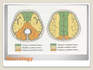 Neurology
 