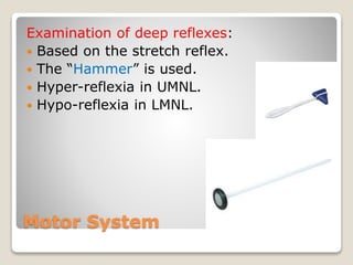 Motor System
Examination of deep reflexes:
 Based on the stretch reflex.
 The “Hammer” is used.
 Hyper-reflexia in UMNL.
 Hypo-reflexia in LMNL.
 