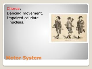 Motor System
Chorea:
Dancing movement.
Impaired caudate
nucleas.
 