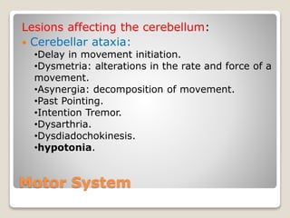 Motor System
Lesions affecting the cerebellum:
 Cerebellar ataxia:
•Delay in movement initiation.
•Dysmetria: alterations in the rate and force of a
movement.
•Asynergia: decomposition of movement.
•Past Pointing.
•Intention Tremor.
•Dysarthria.
•Dysdiadochokinesis.
•hypotonia.
 