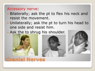 Cranial Nerves
Accessory nerve:
 Bilaterally; ask the pt to flex his neck and
resist the movement.
 Unilaterally; ask the pt to turn his head to
one side and resist him.
 Ask the to shrug his shoulder.
 