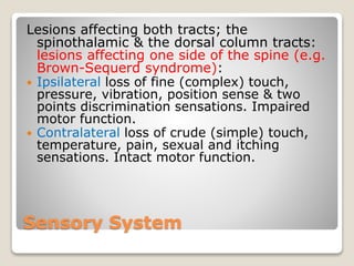 Sensory System
Lesions affecting both tracts; the
spinothalamic & the dorsal column tracts:
lesions affecting one side of the spine (e.g.
Brown-Sequerd syndrome):
 Ipsilateral loss of fine (complex) touch,
pressure, vibration, position sense & two
points discrimination sensations. Impaired
motor function.
 Contralateral loss of crude (simple) touch,
temperature, pain, sexual and itching
sensations. Intact motor function.
 