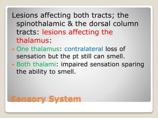 Sensory System
Lesions affecting both tracts; the
spinothalamic & the dorsal column
tracts: lesions affecting the
thalamus:
 One thalamus: contralateral loss of
sensation but the pt still can smell.
 Both thalami: impaired sensation sparing
the ability to smell.
 