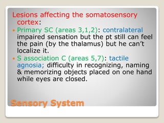 Sensory System
Lesions affecting the somatosensory
cortex:
 Primary SC (areas 3,1,2): contralateral
impaired sensation but the pt still can feel
the pain (by the thalamus) but he can’t
localize it.
 S association C (areas 5,7): tactile
agnosia; difficulty in recognizing, naming
& memorizing objects placed on one hand
while eyes are closed.
 