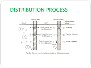 DISTRIBUTION PROCESS
 