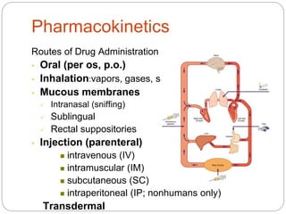 Pharmacokinetics
Routes of Drug Administration
 Oral (per os, p.o.)
 Inhalation:vapors, gases, smoke
 Mucous membranes
 Intranasal (sniffing)
 Sublingual
 Rectal suppositories
 Injection (parenteral)
 intravenous (IV)
 intramuscular (IM)
 subcutaneous (SC)
 intraperitoneal (IP; nonhumans only)
Transdermal
 