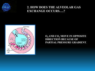 2. HOW DOES THE ALVEOLAR GAS
EXCHANGE OCCURS….?
O2 AND CO2 MOVE IN OPPOSITE
DIRECTION BECAUSE OF
PARTIAL PRESSURE GRADIENT.
CBE-SZ
 