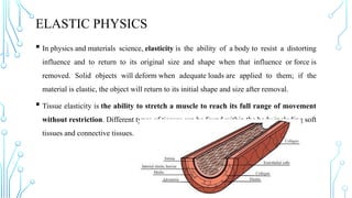 Elastic Objects Science Applied Physics Basics used in Physcis, Engineering, and Knowledge | PPTX