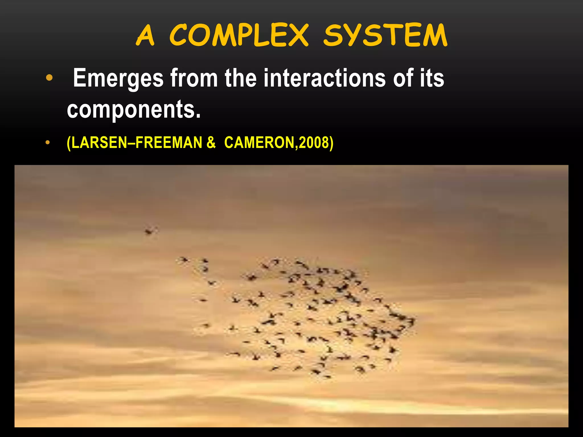 A COMPLEX SYSTEM
• Emerges from the interactions of its
components.
• (LARSEN–FREEMAN & CAMERON,2008)

 