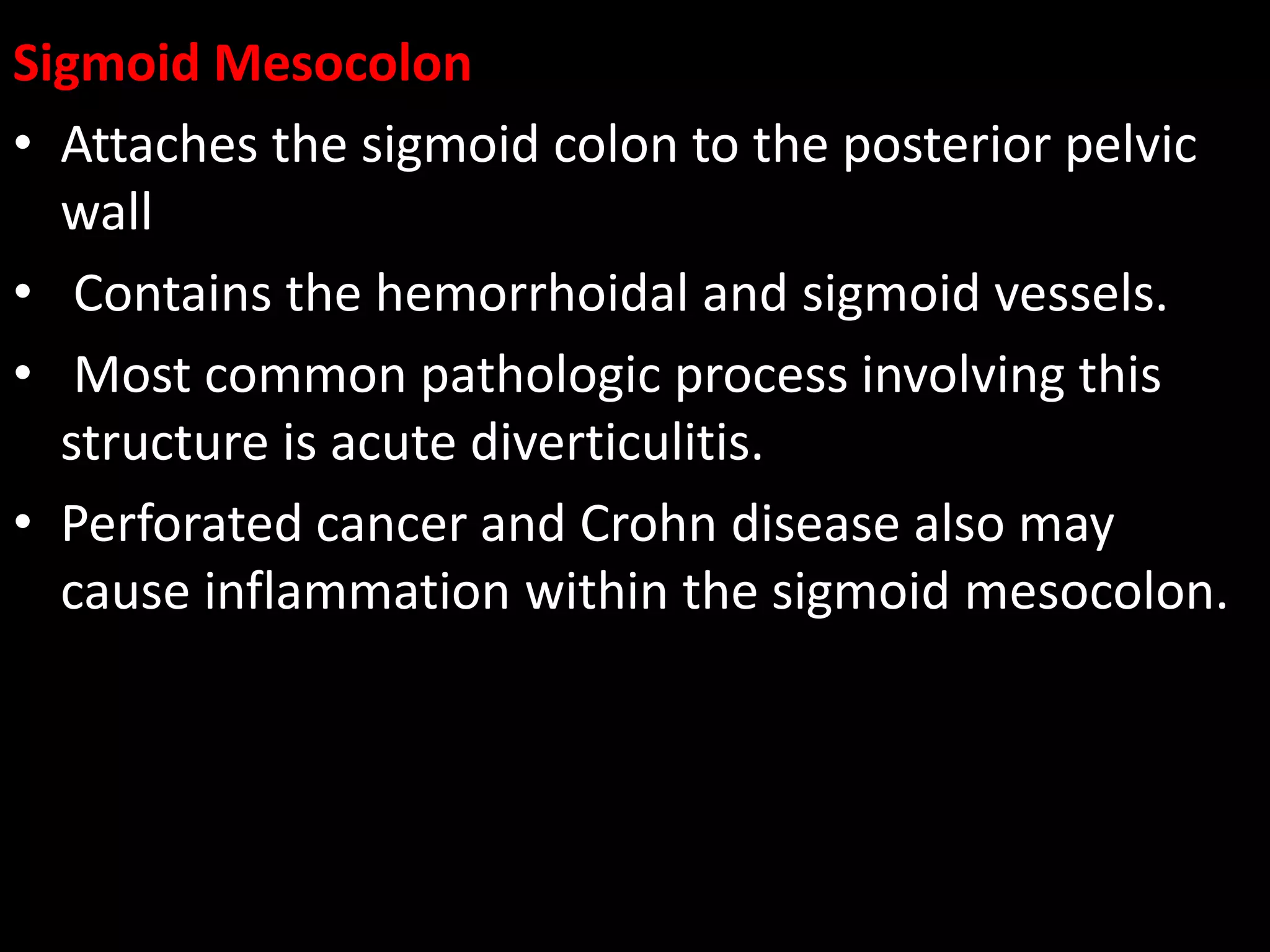 Sigmoid Mesocolon
• Attaches the sigmoid colon to the posterior pelvic
wall
• Contains the hemorrhoidal and sigmoid vessels.
• Most common pathologic process involving this
structure is acute diverticulitis.
• Perforated cancer and Crohn disease also may
cause inflammation within the sigmoid mesocolon.
 