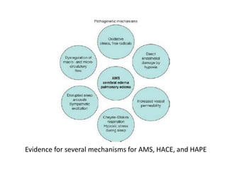 Evidence for several mechanisms for AMS, HACE, and HAPE
 