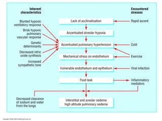 Copyright ©2003 BMJ Publishing Group Ltd.
Barry, P W et al. BMJ 2003;326:915-919
No Caption Found
 