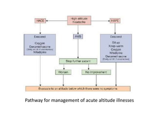Pathway for management of acute altitude illnesses
 