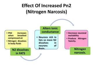 Effect Of Increased Pn2
(Nitrogen Narcosis)
• PN2 increases
when breathed
compressed air
• Nitrogen dissolves
in body fluids
N2 dissolves
in FATS
• Neurons rich in
fats so more N2
dissolves in
neurons of
Brain.
Alters ionic
conductance • Decrease neuronal
excitability
• Produce Nitrogen
Toxicity.
Nitrogen
narcosis.
 